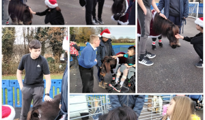 Christmas Joy with the Keysoe Cuddle Ponies at Spring Common Academy image