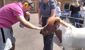 Fun at the fair with the Keysoe Cuddle Ponies at Spring Common Academy image
